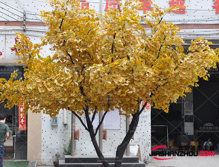 仿真樹需要考慮植物的適應環境，包括光照、溫度、濕度等因素