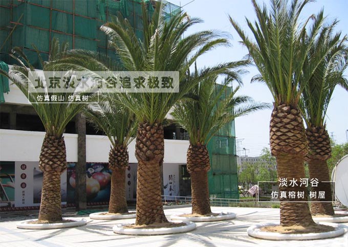 廣西仿真樹生產(chǎn)定制 打造恰到好處的自然風光